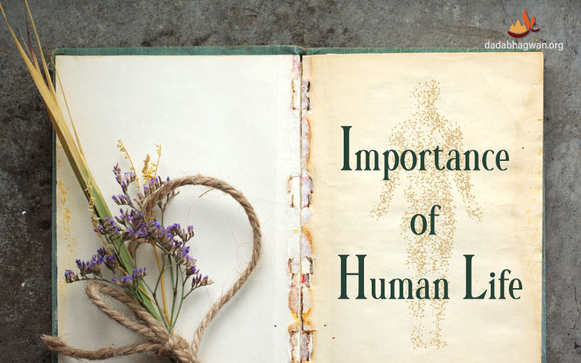 Importance Of Human Life