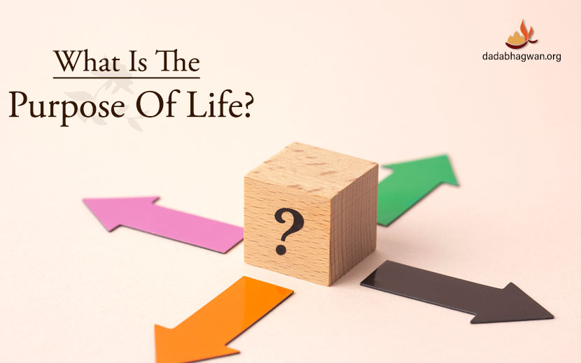 What Is the Purpose of Life?