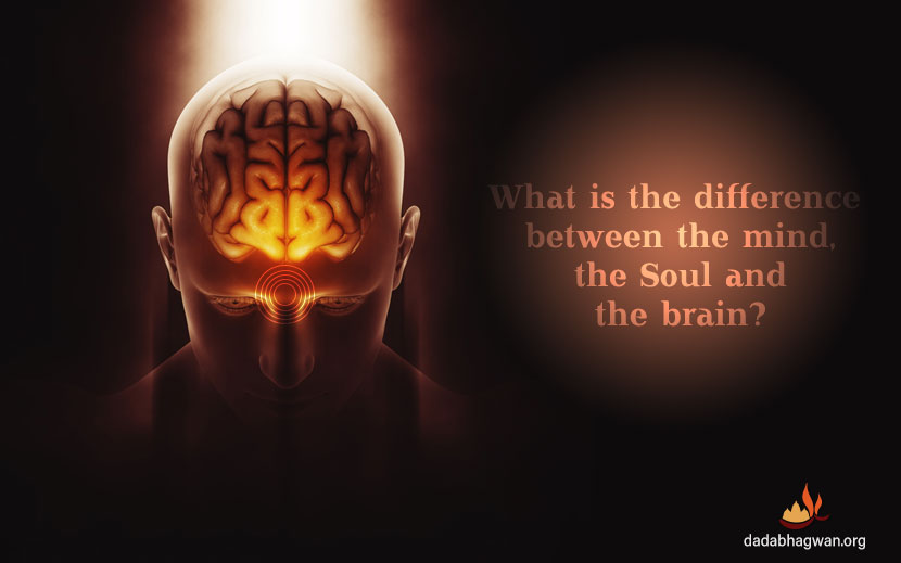 mind-brain-soul