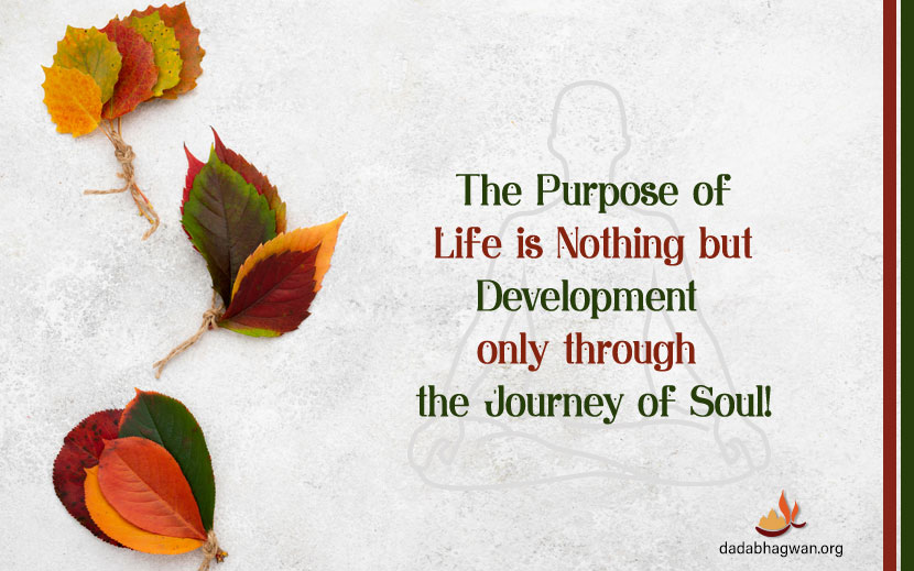 purpose of life